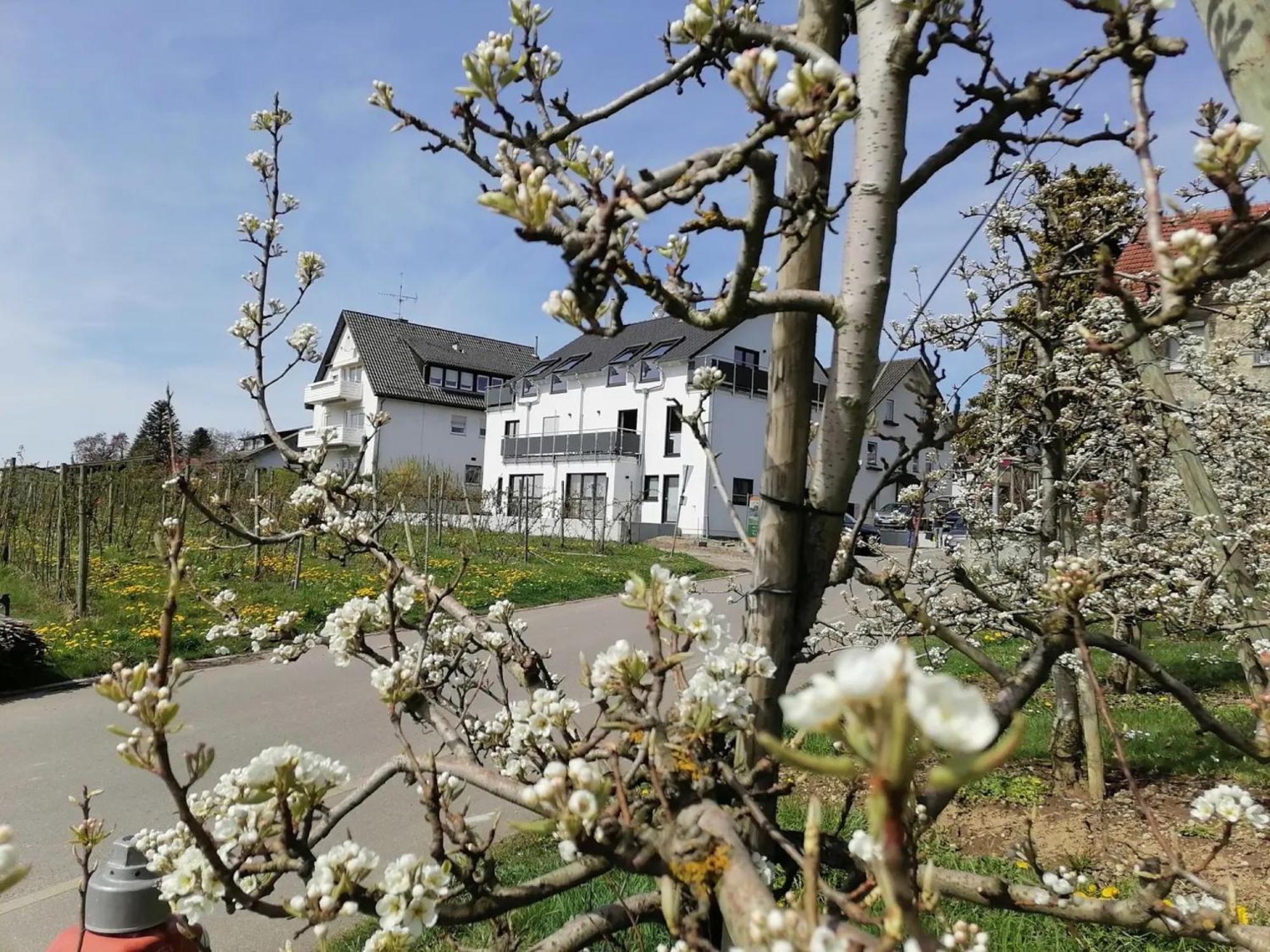 Haus Agatha Appartement